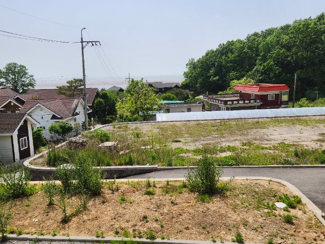 20230522_144220.jpg