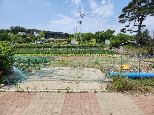 20230605_130126.jpg