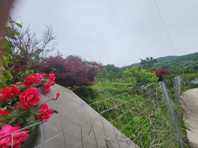 20230609_122722.jpg