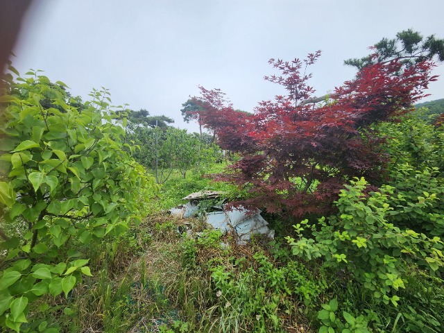 20230609_122703.jpg
