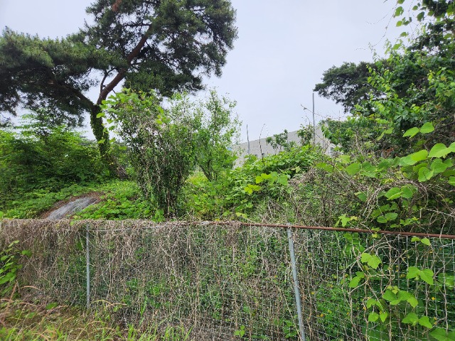20230609_122350.jpg