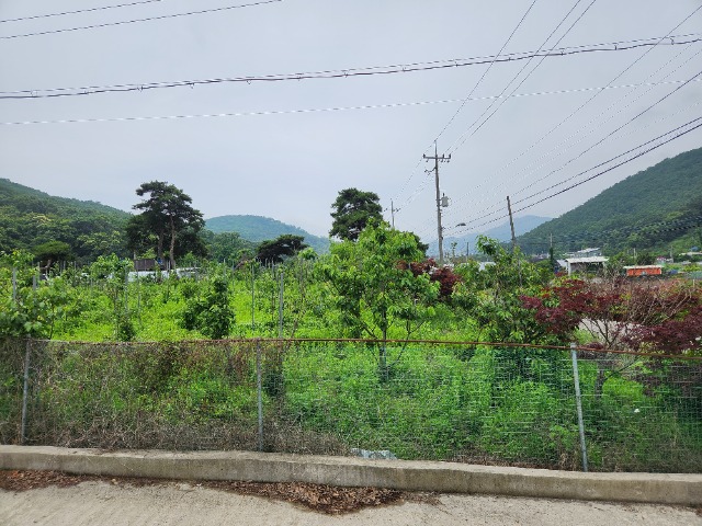 20230609_122203.jpg