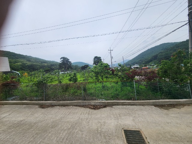 20230609_122215.jpg