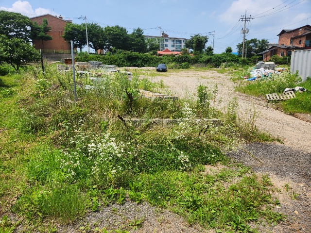 20230703_123245.jpg
