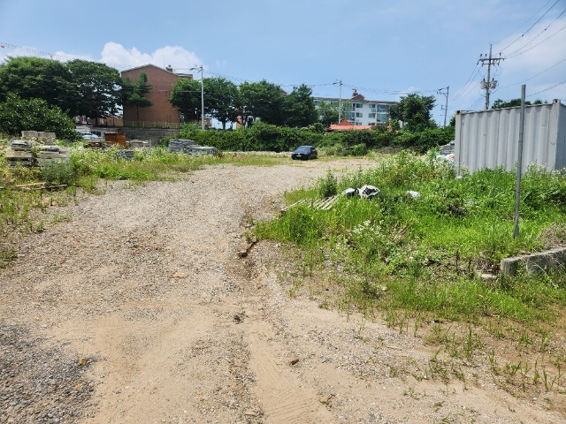20230703_123118.jpg