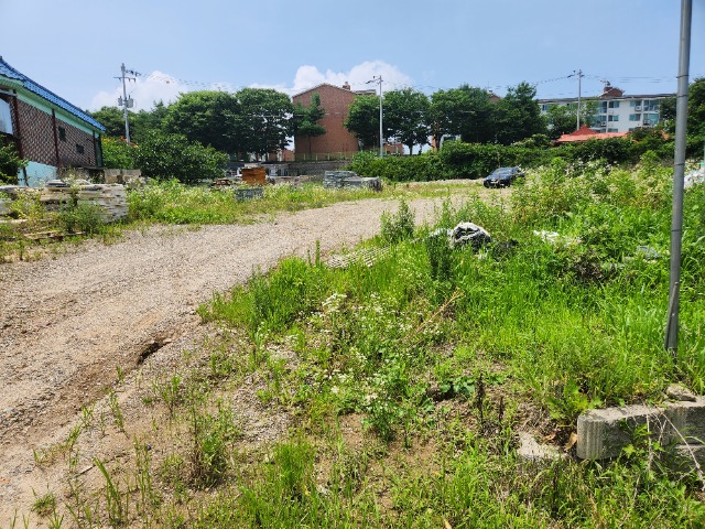 20230703_123125.jpg