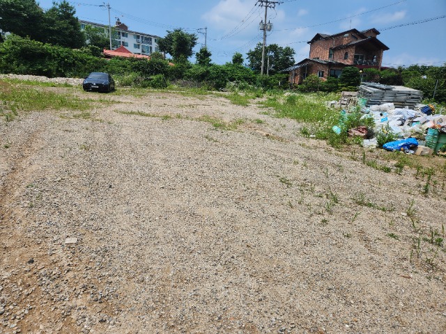 20230703_123219.jpg
