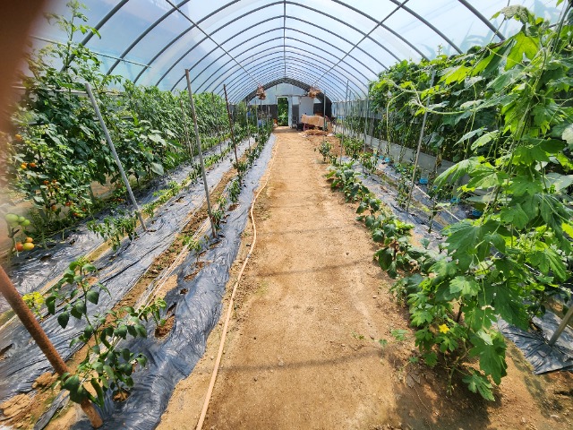 20230703_145328.jpg