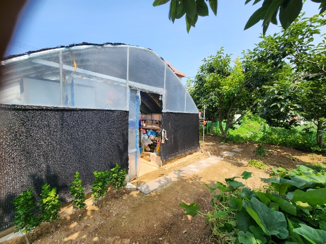 20230703_145256.jpg