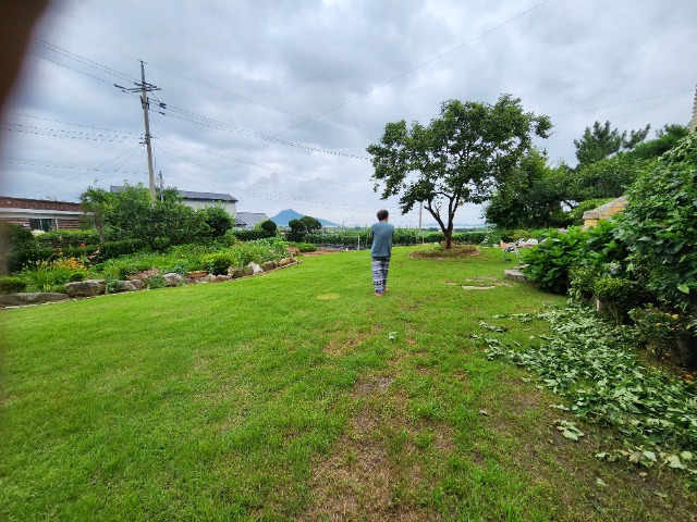20230712_135312.jpg