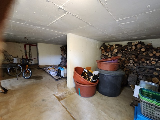 20230712_135209.jpg