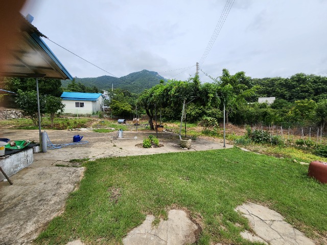 20230712_141749.jpg