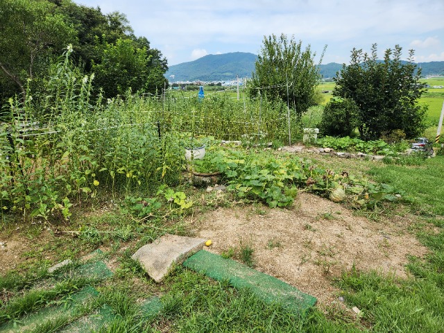 20230826_124305.jpg