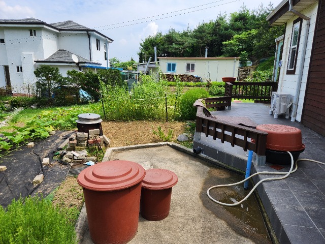 20230826_124436.jpg