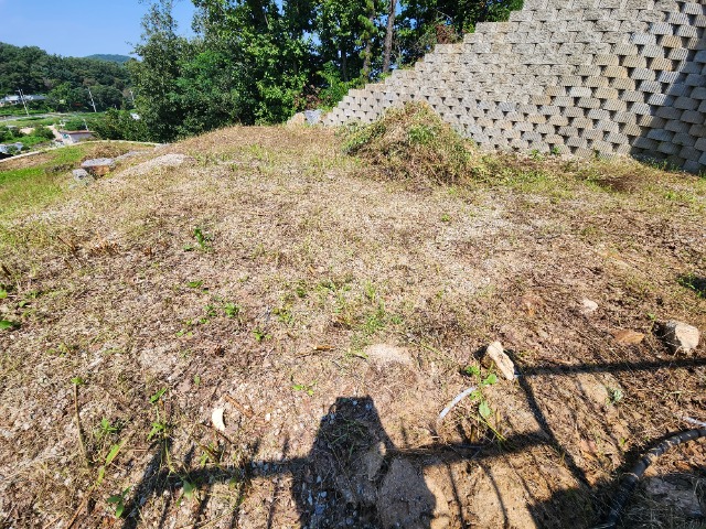 20230901_112346 (2).jpg