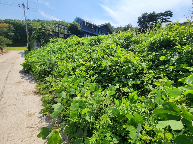 20230901_115649.jpg