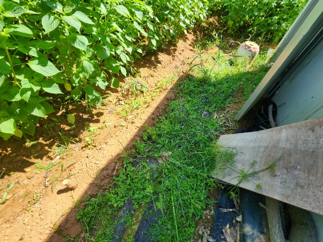 20230905_132636.jpg
