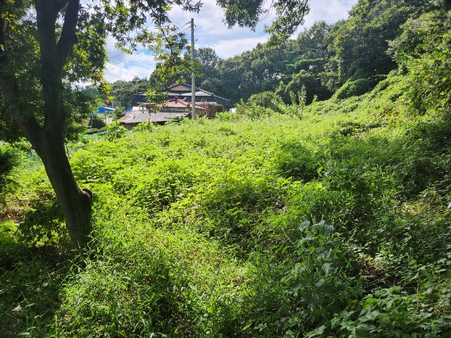 20230918_144123.jpg
