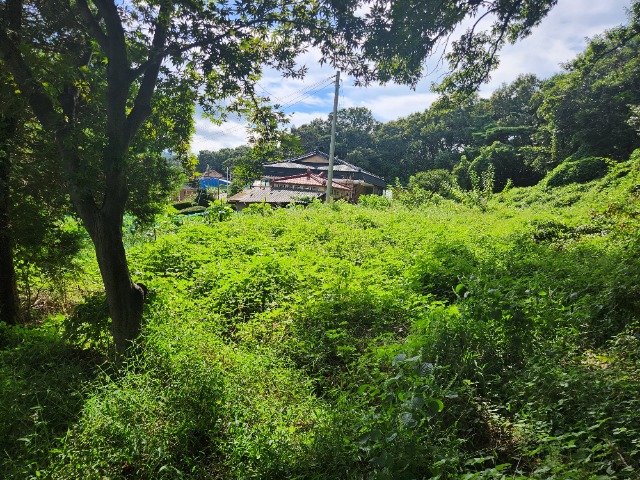 20230918_144139.jpg