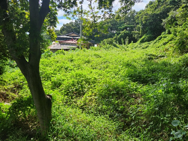 20230918_144156.jpg