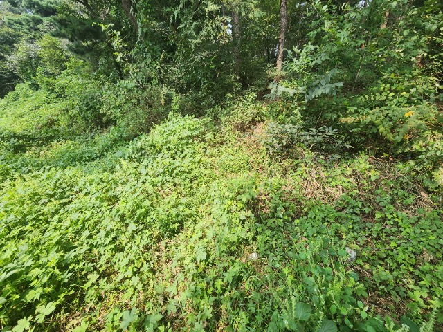 20230919_114335.jpg