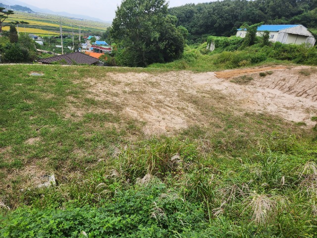 20230919_132251.jpg