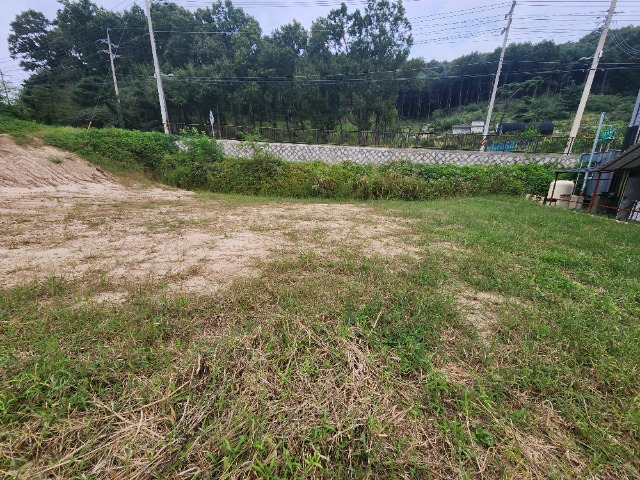 20230919_132516.jpg