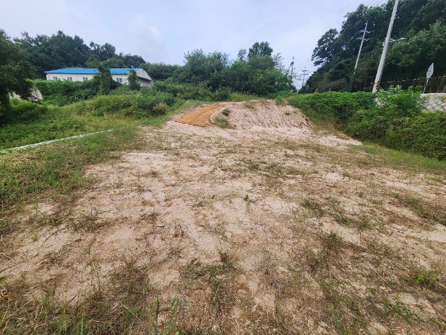 20230919_132541.jpg