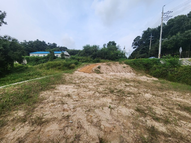 20230919_132539.jpg