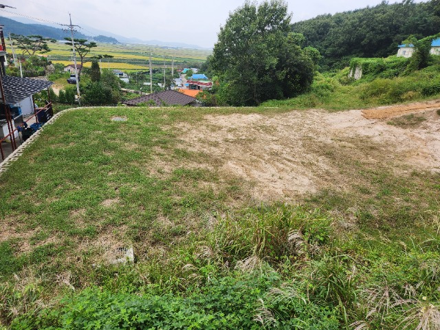 20230919_132222.jpg