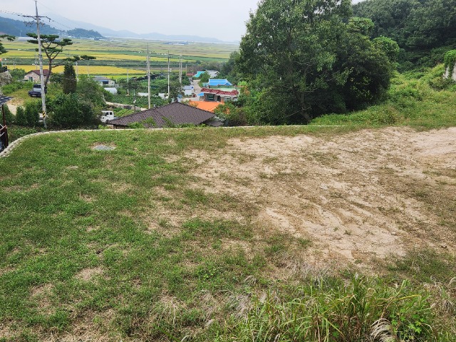 20230919_132230.jpg