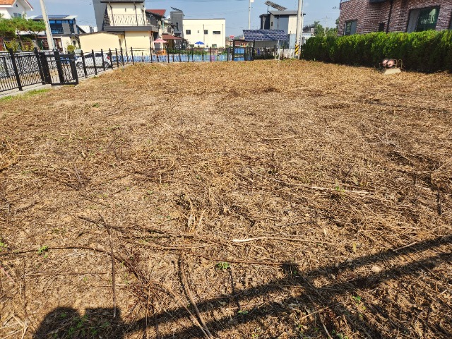 20231011_132742.jpg