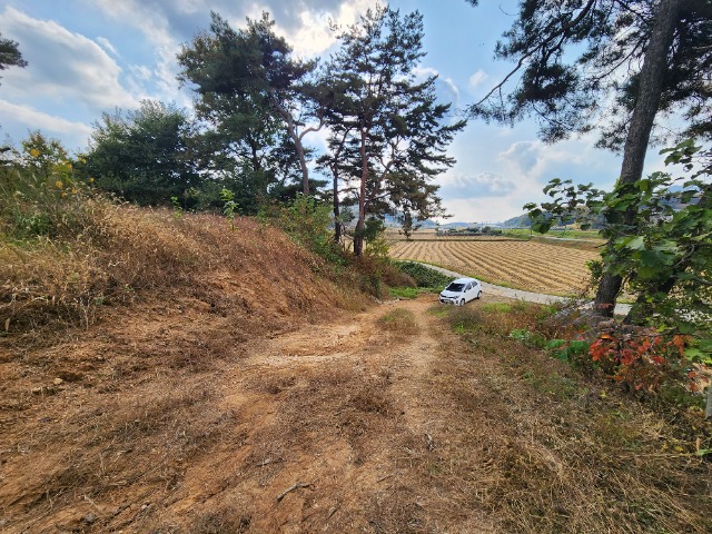 20231025_140954.jpg