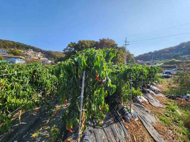 20231028_114557.jpg