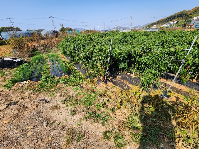 20231028_114502.jpg