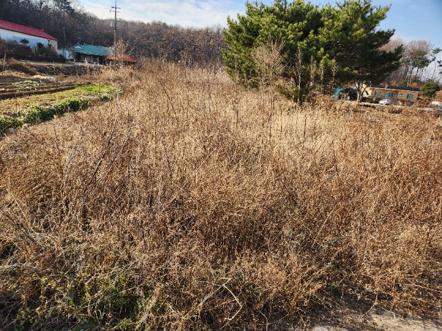 20231204_131949.jpg