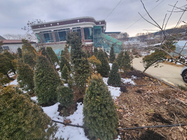 20240207_145745.jpg
