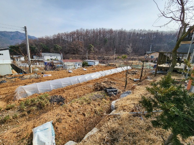 20240304_144731.jpg