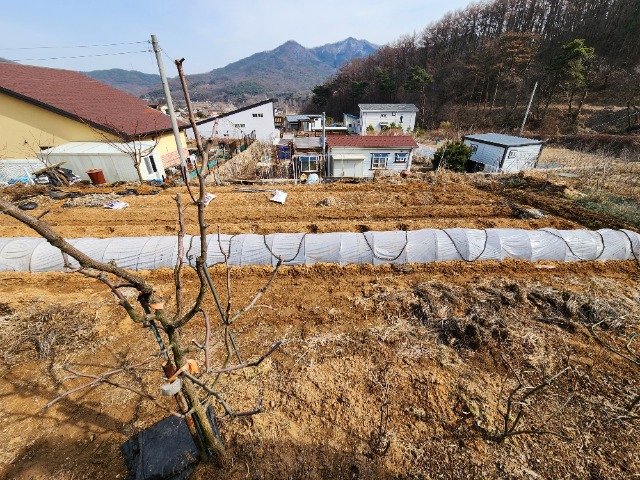 20240304_145310.jpg
