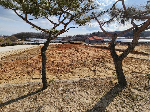 20240306_153651.jpg