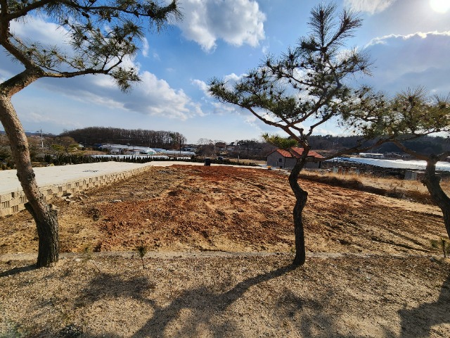 20240306_154024.jpg