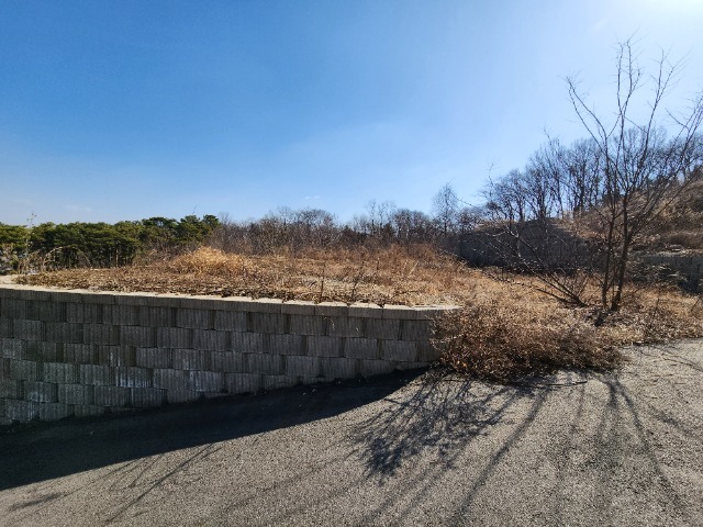 20240308_104305.jpg