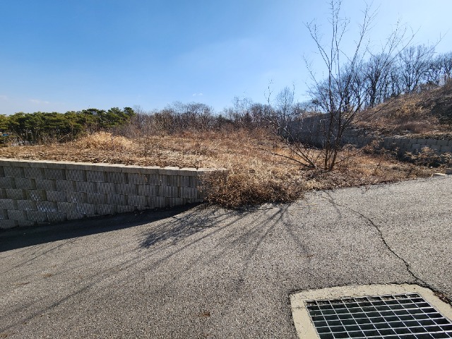 20240308_104301.jpg