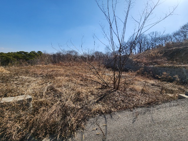 20240308_104255.jpg