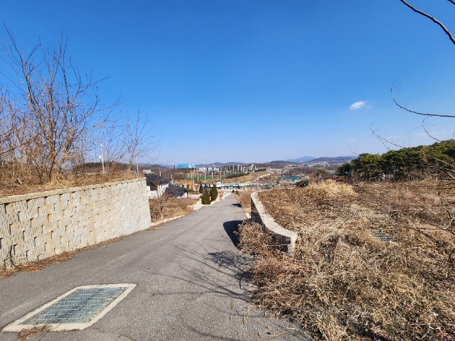 20240308_104250.jpg