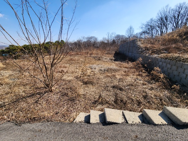 20240308_104242.jpg