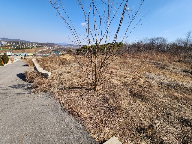20240308_104246.jpg