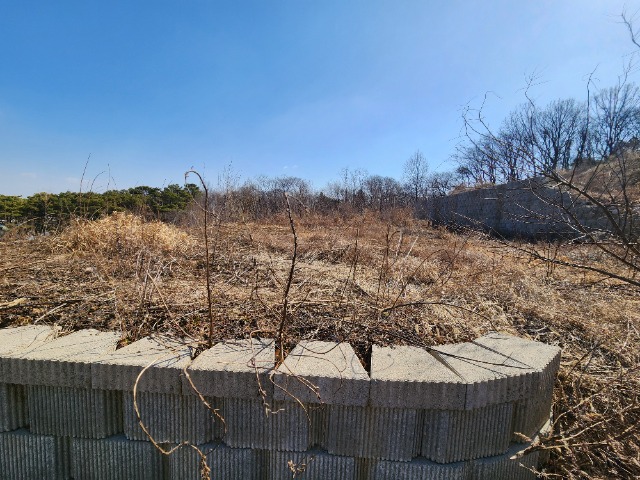 20240308_104308.jpg