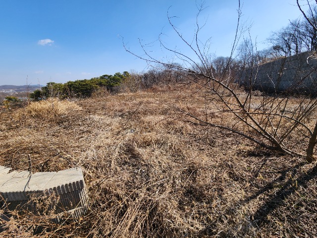 20240308_104325.jpg