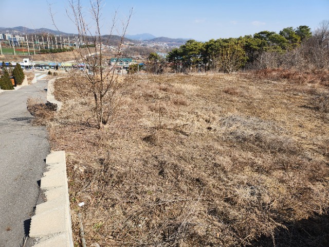 20240308_104353.jpg